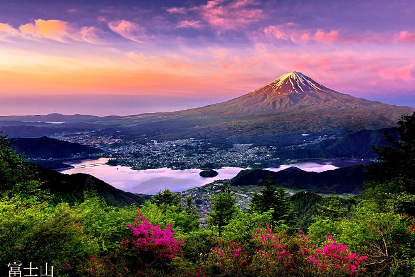 BERGBLUMEN von oben, wilde Blumen, rosa Farben, bezaubernde Natur, Landschaft, Hügel, Berg, Wolken, Natur, Himmel, Pracht HD-Hintergrundbild