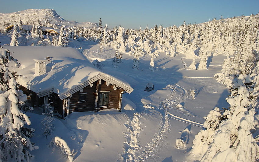 Zima, przyroda, śnieg, las, dom, zaspy, okładka, ostępy, odludzie Tapeta HD