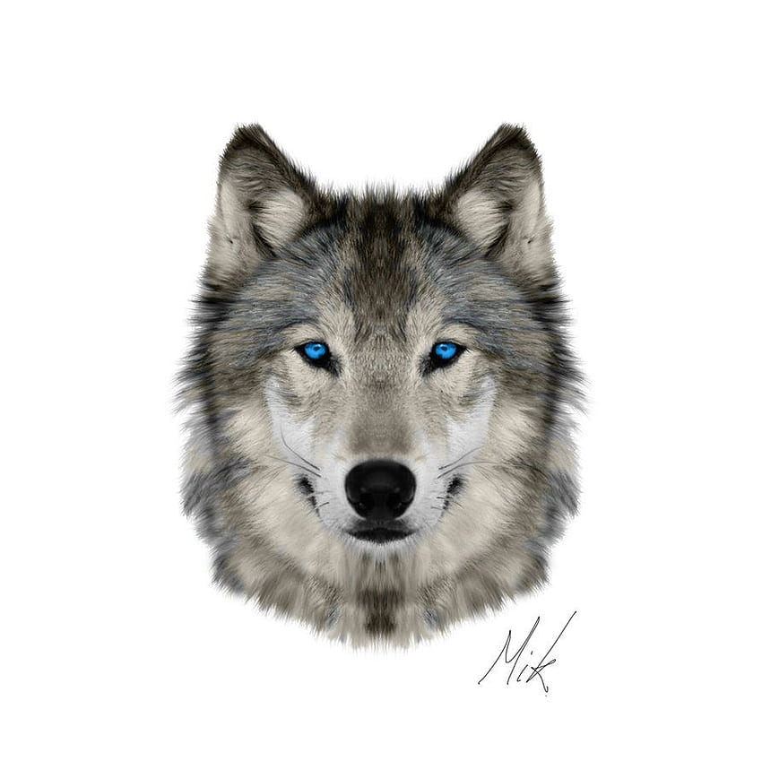 Tatouage de loup aux yeux bleus. Tatouage loup, Animaux, Petit tatouage Fond d'écran HD