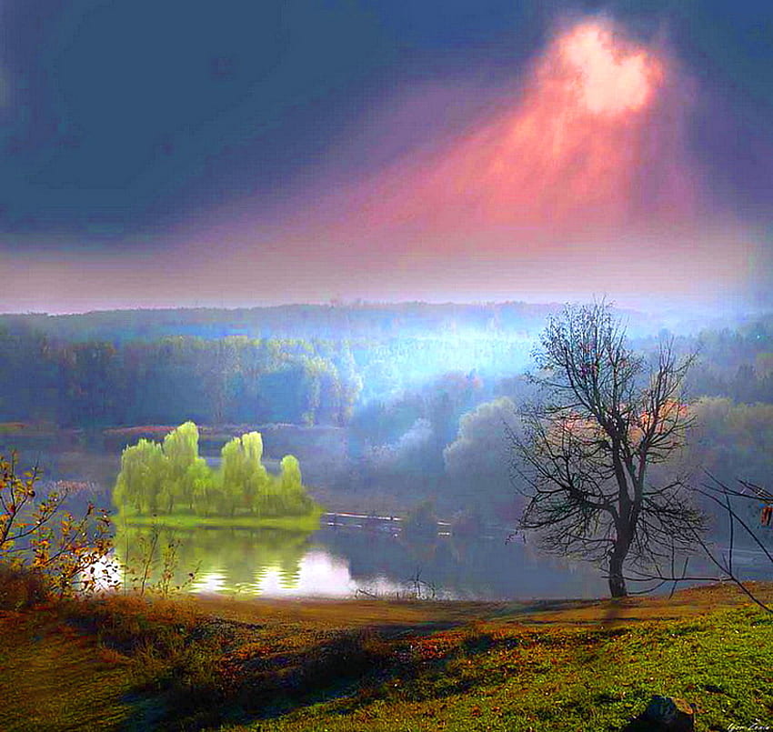 Magical morn, mist, blue, rays, pink, sunlight, clouds, trees, sky HD wallpaper