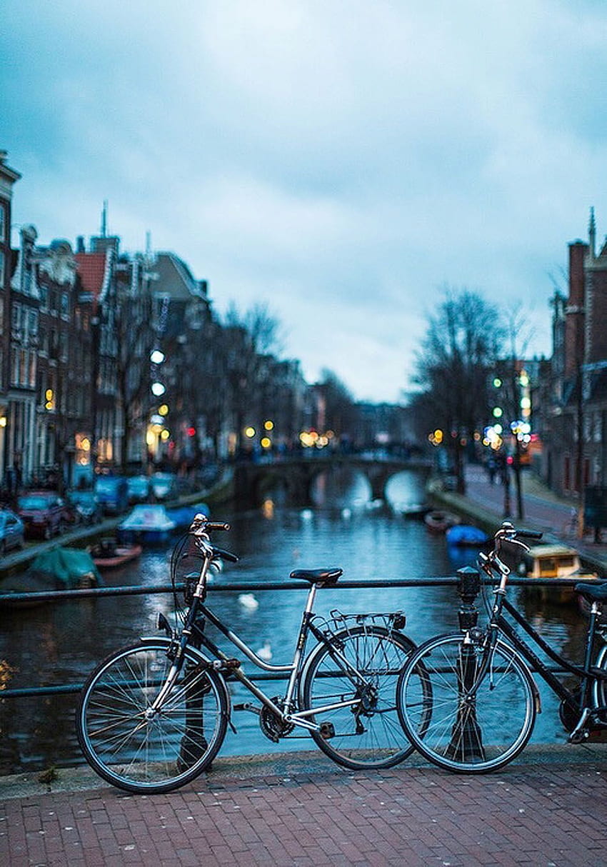 이번 여름에 여행해야 할 목적지. 여행지, 네덜란드 관광, 여행지, 암스테르담 자전거 HD 전화 배경 화면