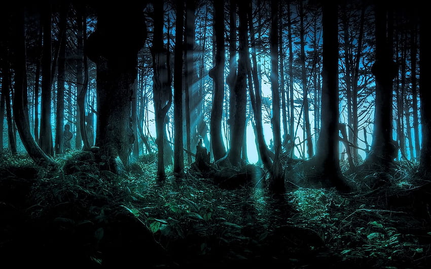 Happy halloween scary forest trees HD wallpaper | Pxfuel