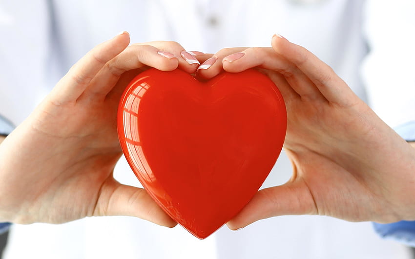손에 붉은 심장, 심장학, 손에 심장을 가진 의사, 심장 전문의, 의사, 건강한 심장 개념, 해결을 위한 의학 개념. 고품질 HD 월페이퍼