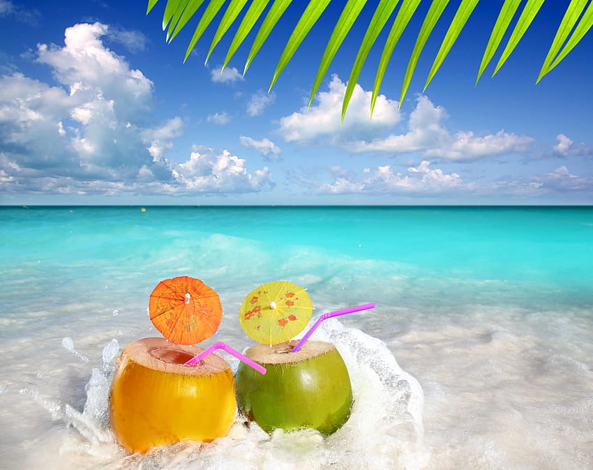 For > Summer Beach Fun . Tropical drink, Caribbean Party HD wallpaper