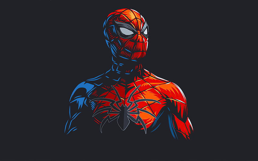Spiderman, sztuka, szare tło, superbohater, sztuka Spidermana, rysunek Spidermana, minimal art Tapeta HD