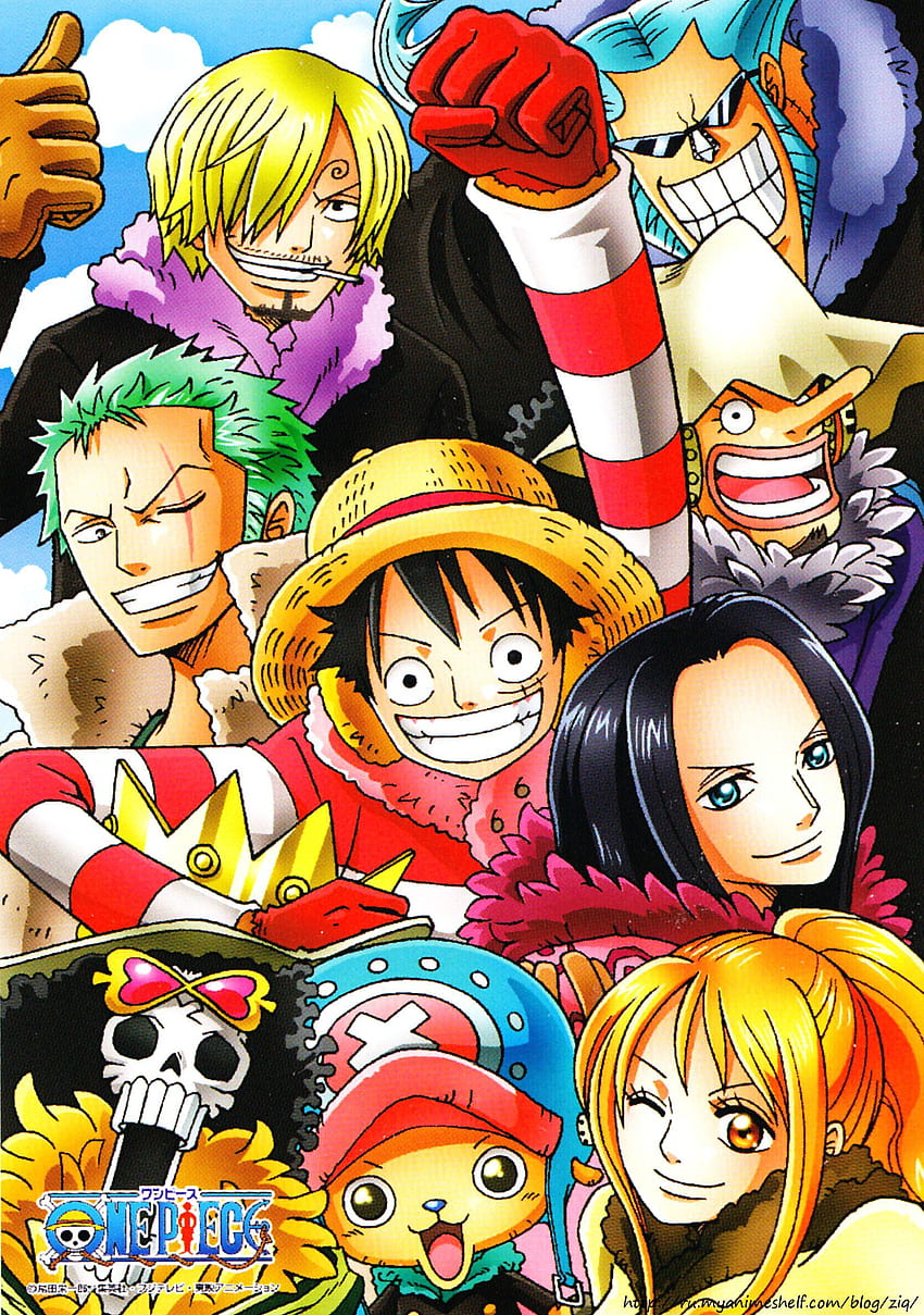 One Piece Phone, One Piece Characters HD phone wallpaper