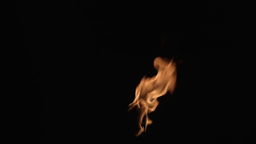 The flame element, shot at night in the garden to ensure a seamless black background HD wallpaper