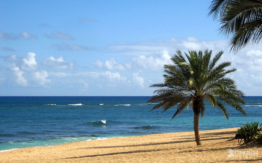 Beach: Beautiful Beach Hawaii Hawaiian Scenic Ocean Ios 7, Hawiian iPhone HD wallpaper