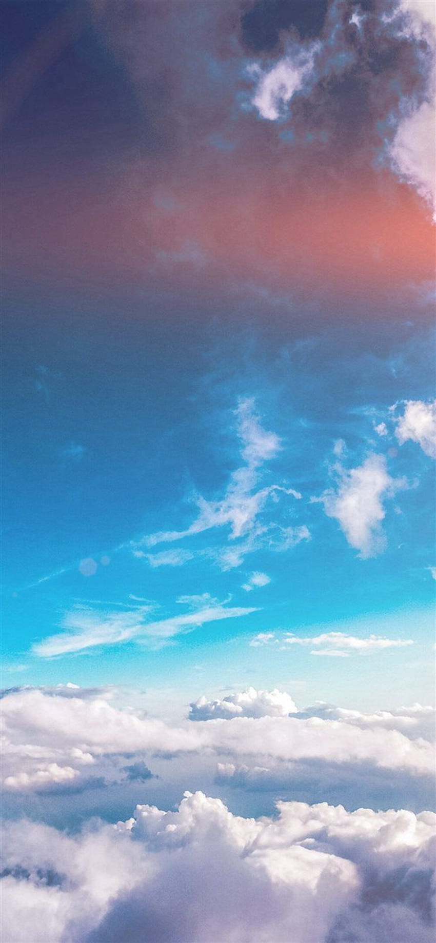 Estética de verão, telefone Makoto Shinkai Papel de parede de celular HD