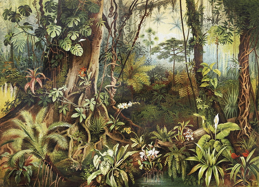 Cinta de vintage de djungel. Selva, mural de la selva, mural de la pared de la selva, arte de la selva fondo de pantalla