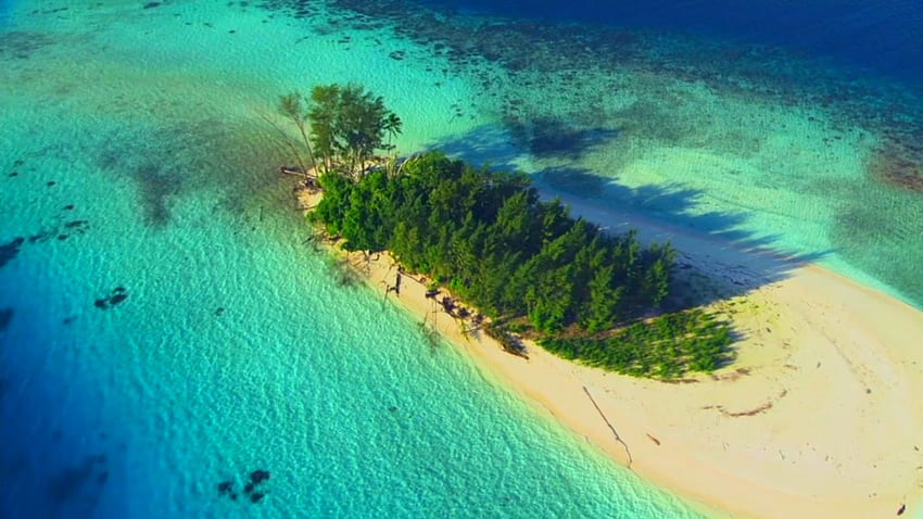 กลุ่มนิวจอร์เจีย หมู่เกาะโซโลมอน เกาะ แนวปะการัง น้ำทะเลสีฟ้าคราม สวย ต้นปาล์ม มหาสมุทร ชายหาด วอลล์เปเปอร์ HD