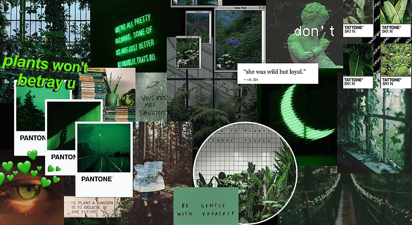 กรันจ์สีเขียวเข้ม สีเขียวเข้ม , Aesthetic , สุนทรียศาสตร์สีเขียวเข้ม , Grunge Aesthetic Collage Laptop วอลล์เปเปอร์ HD