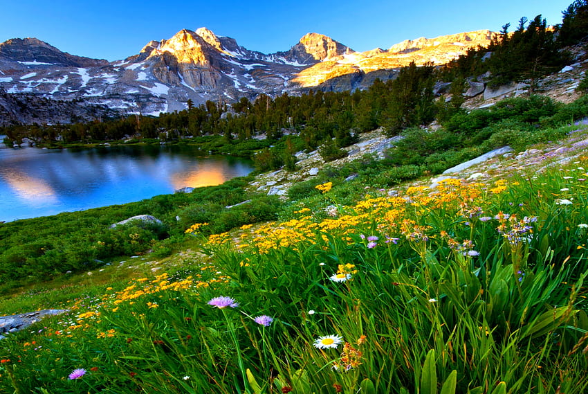 Пейзаж, езера, природа, хълмове, графика, поле, природа, планини, красота HD тапет