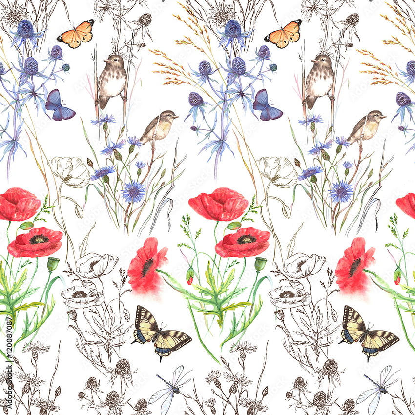 Hand Drawn Watercolor Floral Seamless Pattern. Summer Meadow Flowers Poppy, Cornflowers, Grass, Feverweed, Butterflies And Birds On The White Background, Repeated Pattern For Textile, . Stock Illustration. Adobe Stock, Watercolor Floral Summer HD phone wallpaper