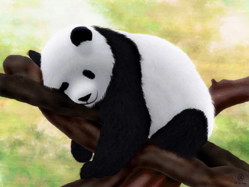 Panda . Cute Panda , Funny Panda and Panda Emoji, Beautiful Panda HD  wallpaper | Pxfuel