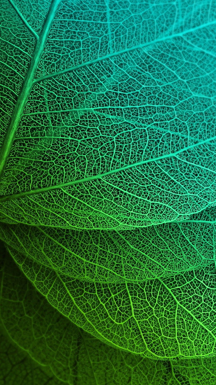 MuchaTseBle. Green aesthetic, Green , Oneplus, Earthy HD phone wallpaper