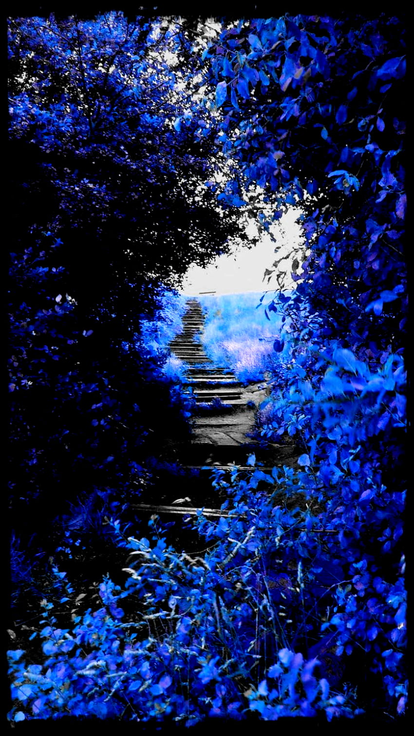 The blue passage radiates magic :) - Serdarcc - HD phone wallpaper