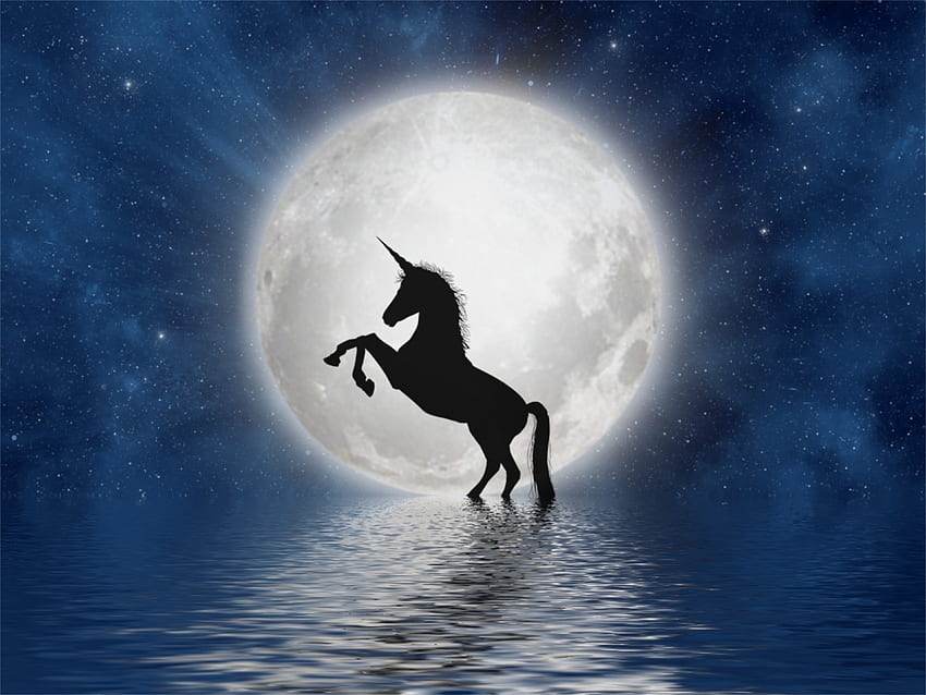 Unicorn, moon, silhouette, art HD wallpaper
