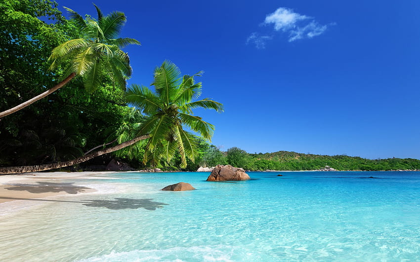 beach, ocean, sand, coast, sky, paradise, summer, sunshine, emerald, blue, palm, sea, tropical 49673, Beach 1920 X 1200 HD wallpaper