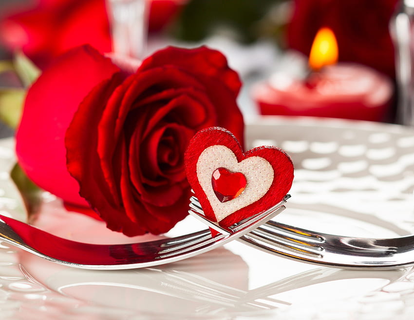С любов, рози, роза, свещ, любов, природа, цветя, червена роза, сърце, за теб, Свети Валентин HD тапет