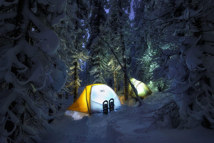 Christmas Camping, Aesthetic Camping HD wallpaper