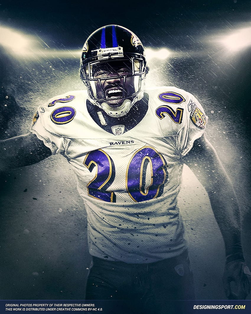 1,206 Ed Reed Ravens Stock Photos, High-Res Pictures, and Images