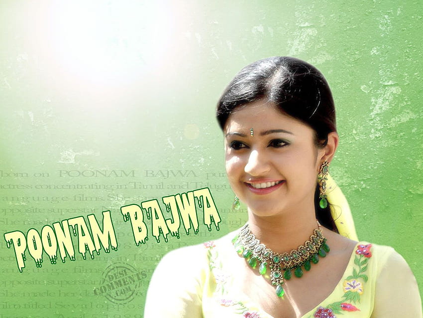 Poonam Bajwa . South Indian Celebrities HD wallpaper