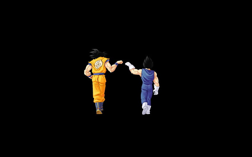 Papel de parede : esfera do dragão, Filho Goku 2160x4677 - Johnny786 -  2208165 - Papel de parede para pc - WallHere