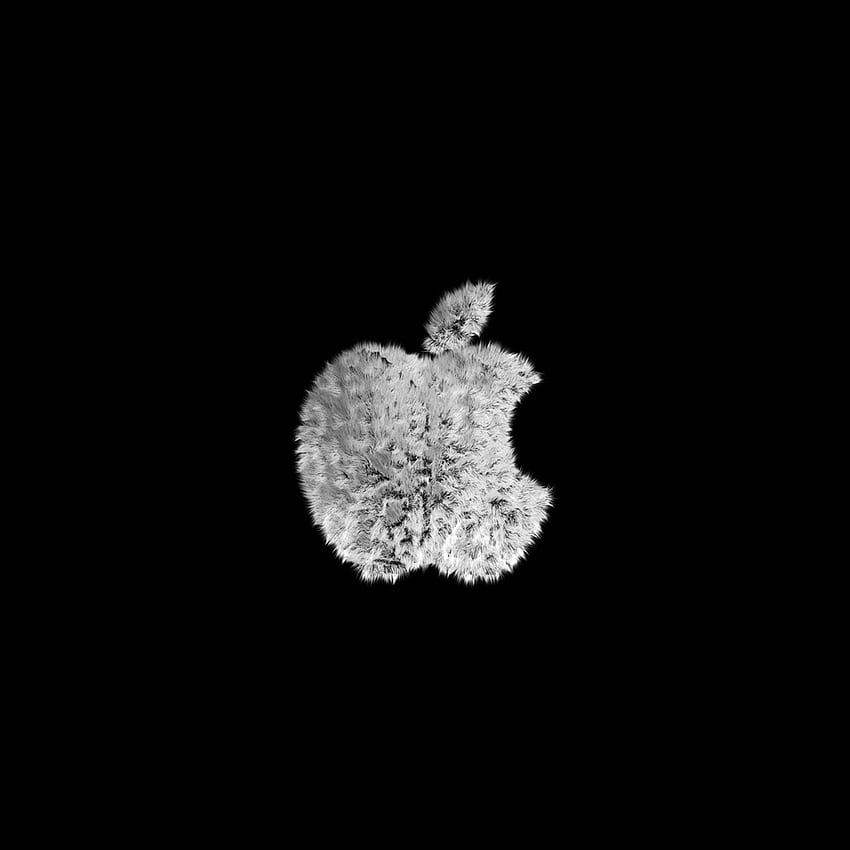 Computers - Fashion Shaggy White Apple Logo - iPad iPhone HD phone wallpaper