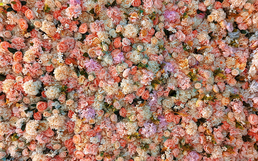 Flowers, summer, rose, pink, hydrangea, flower, texture, orange, skn, vara HD wallpaper