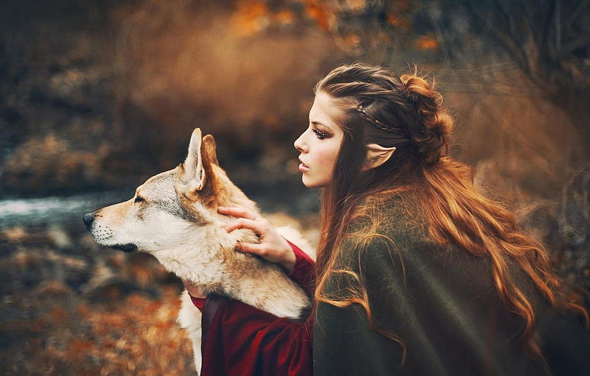 autumn, girl, style, wolf, dog, fantasy, elf, Marketa Novak for , section стиль, Autumn Wolves HD wallpaper
