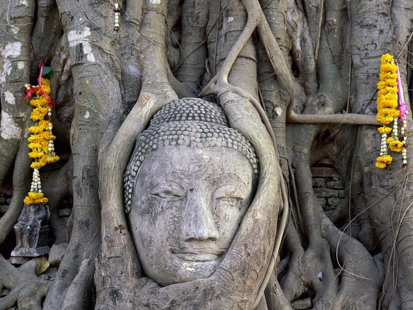 Тайланд, природа, Буда, Индия HD тапет