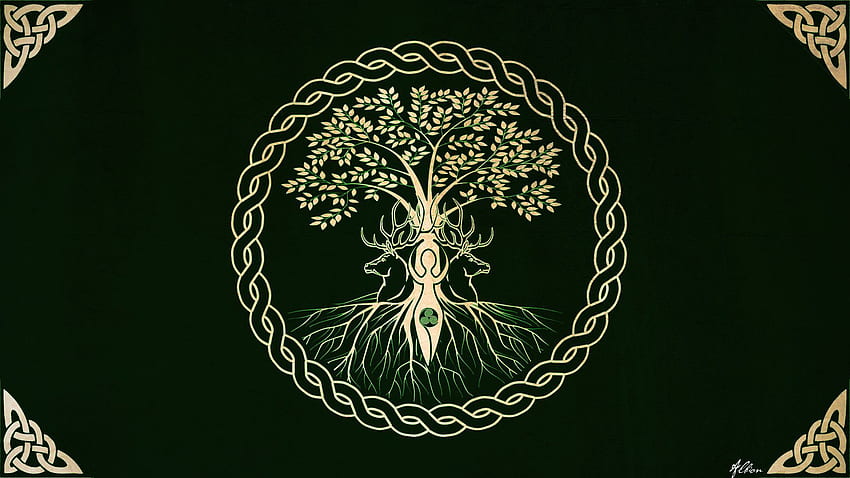 Árvore Celta da Vida papel de parede HD