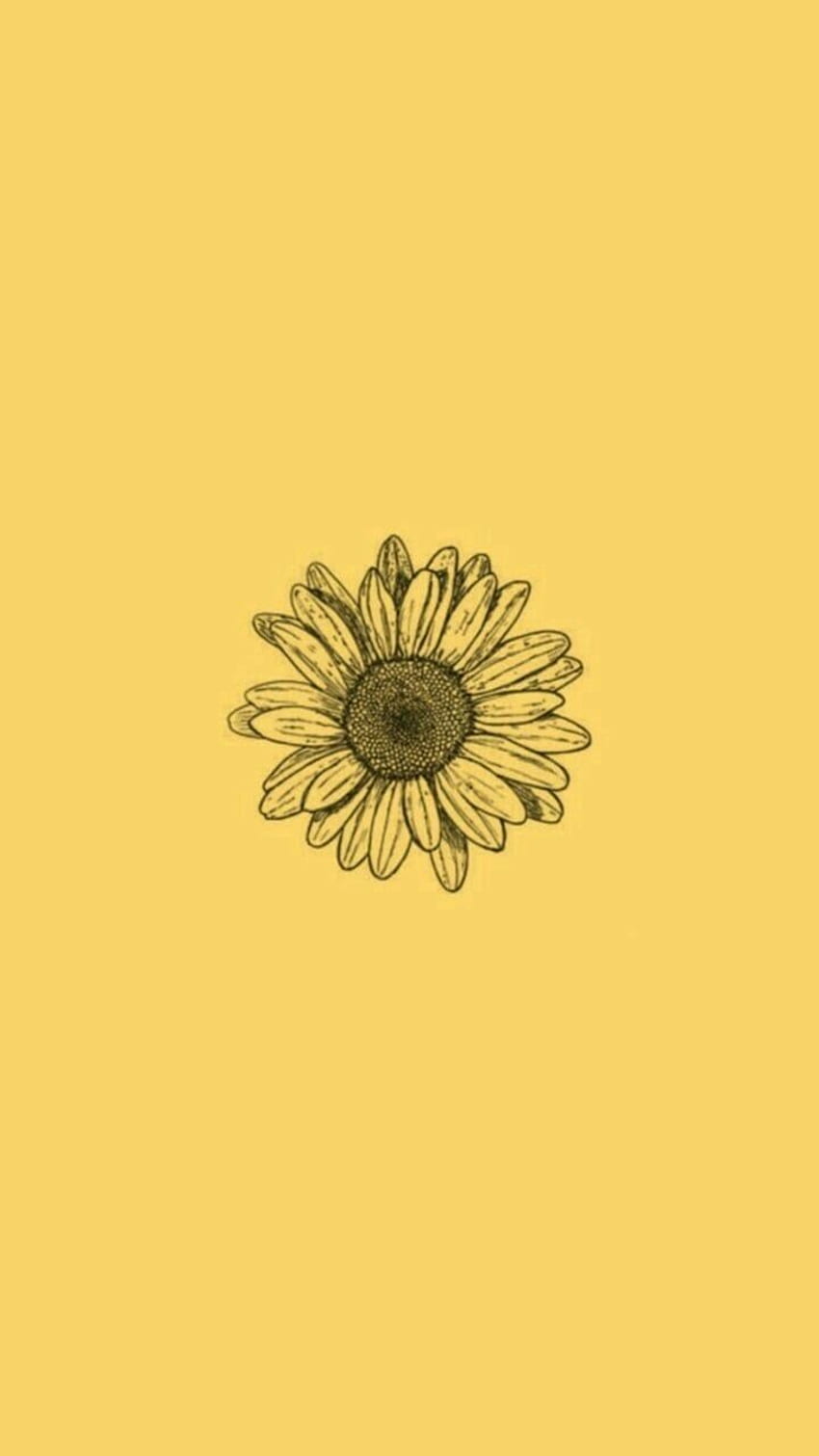 Sunflower aesthetic lockscreen yellow HD phone wallpaper  Peakpx