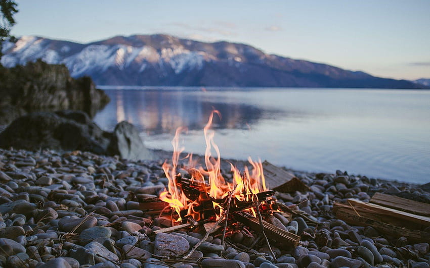 Camp Fire, Campfire Aesthetic HD wallpaper