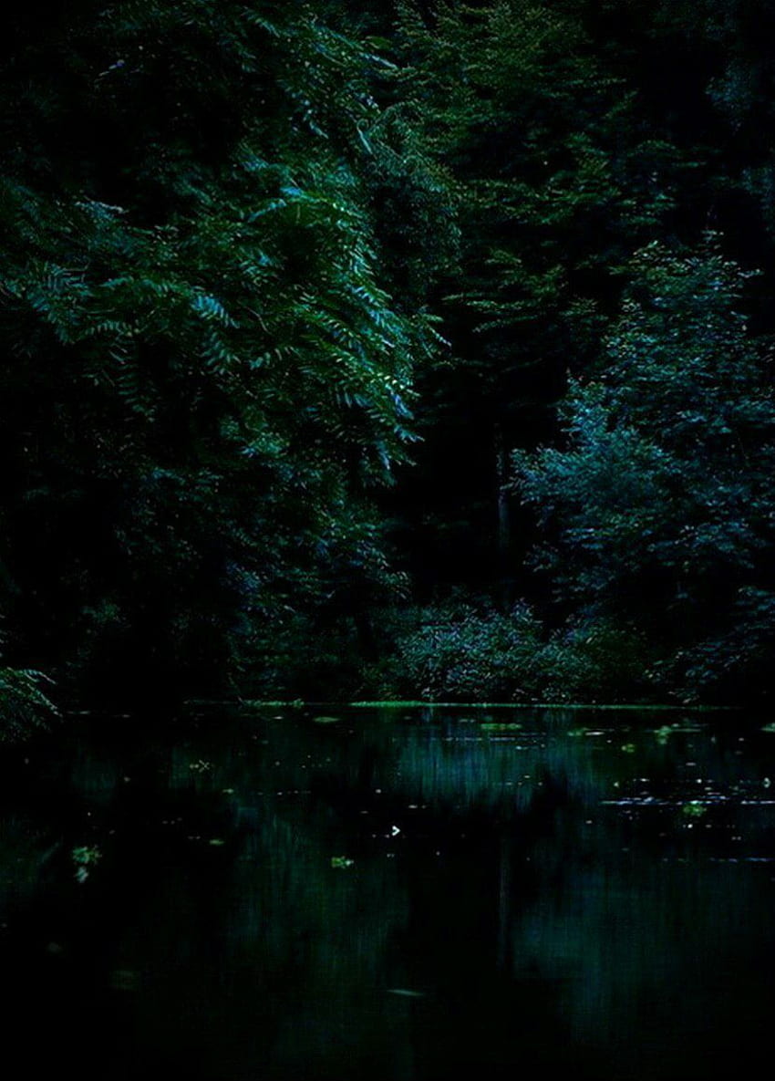 Verde foresta scuro, estetica Dark Forest Sfondo del telefono HD