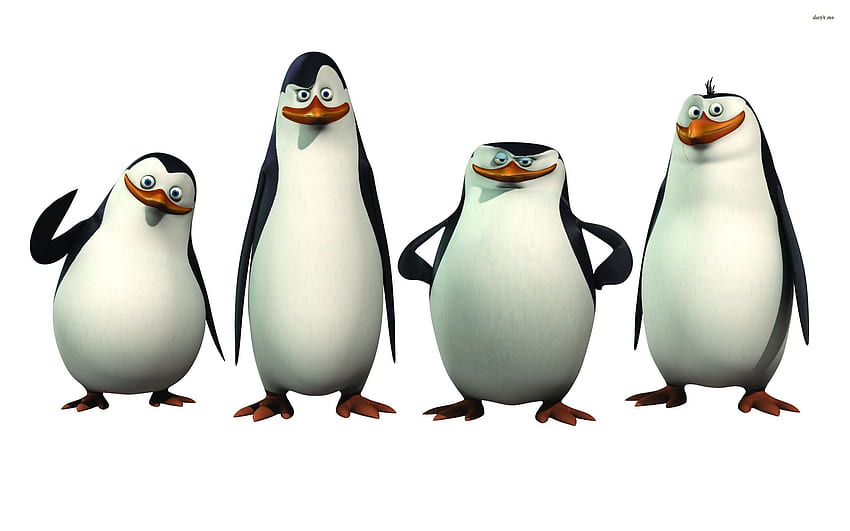 Penguin Madagaskar - Kartun Wallpaper HD