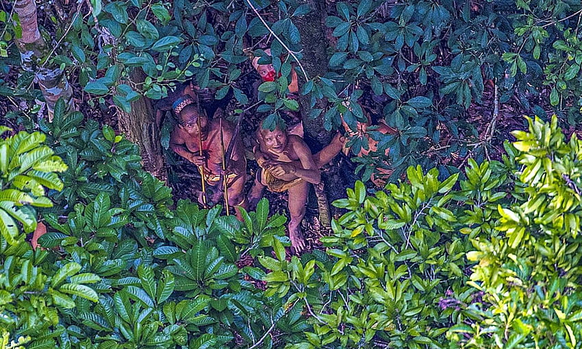 catture di Grapher di una tribù amazzonica incontattata. Popoli indigeni, foresta pluviale venezuelana Sfondo HD