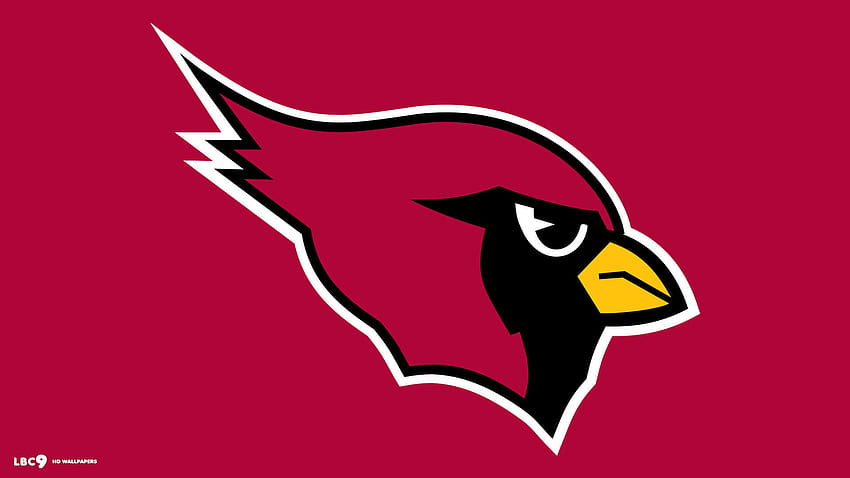 Cardinals Football Team HD wallpaper | Pxfuel