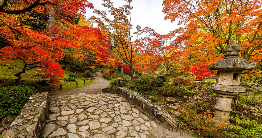 Japanese garden in Seattle, japanese, colorful, Seattle, fall, garden, beautiful, walk, park, leaves, pretty, trees, autumn HD wallpaper