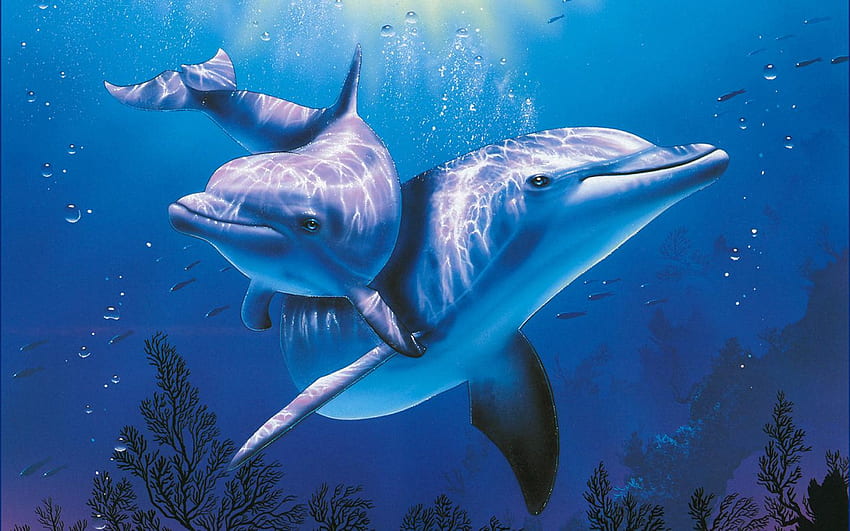Dolphin 6 - 1680 X 1050, Amazing Dolphin HD wallpaper