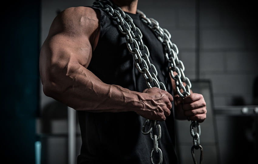 Ketten, muskulös, Arme, breite Brust für , Abschnitt мужчины, Kraftprotz HD-Hintergrundbild