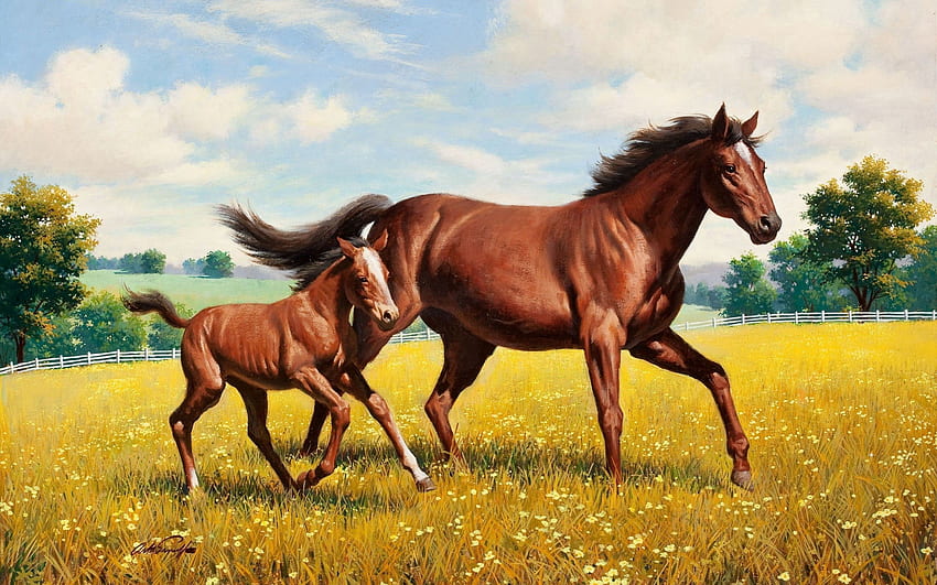 Animals, Grass, Polyana, Glade, Horse, Run, Running, Stallion HD wallpaper