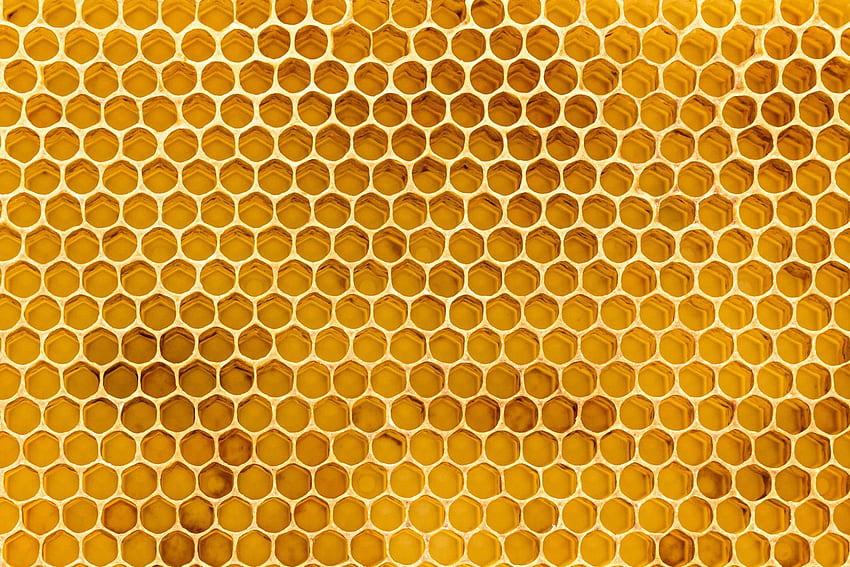 Стенопис с текстура на пчелна пита. Пчелна пита, стенопис, текстуриран, кошер HD тапет