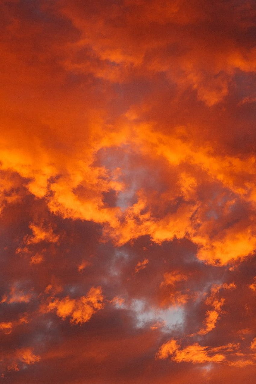 : cielo nuvoloso, nuvole, ardente, arancione, poroso, arancione, Color Cloud Sfondo del telefono HD