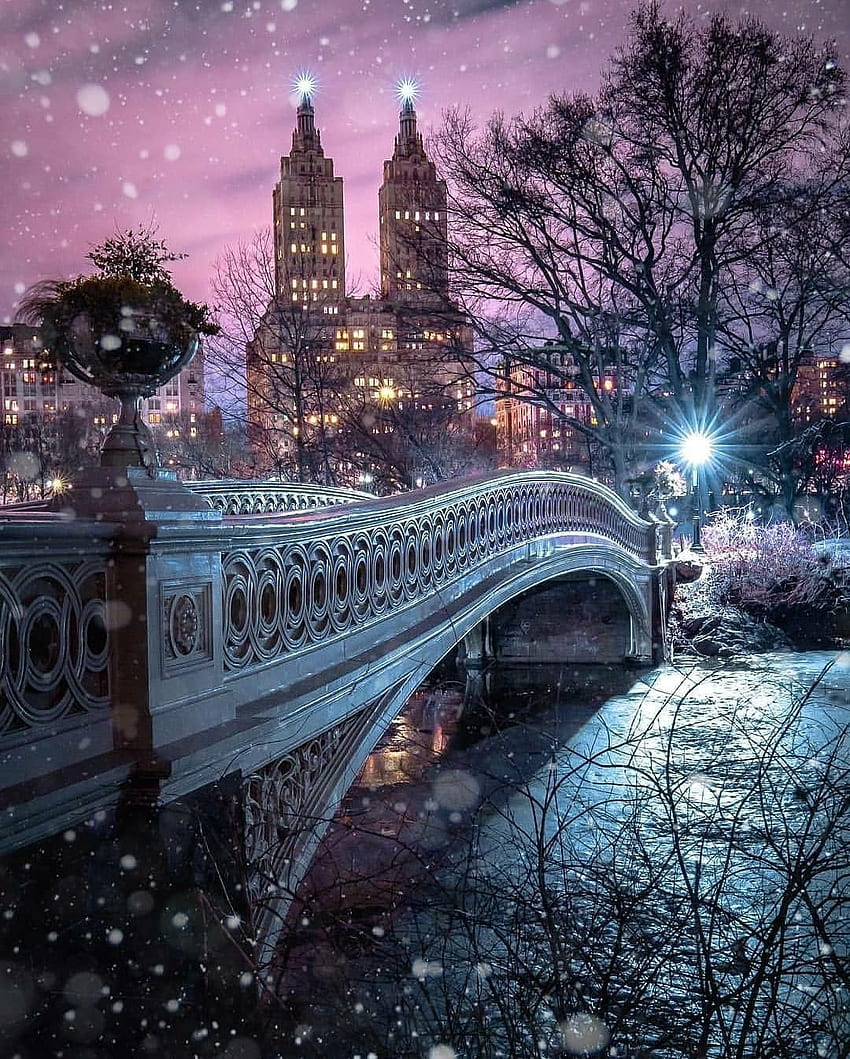 Loft è tutto ciò di cui hai bisogno. Natale di New York, New York, Natale di New York, Natale di Central Park Sfondo del telefono HD
