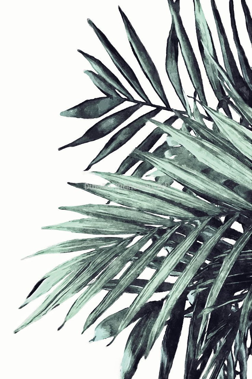 Palm Leaf Print, Watercolor Palm Leaves, Tropical Leaf Print, Palm Tree Leaves HD phone wallpaper