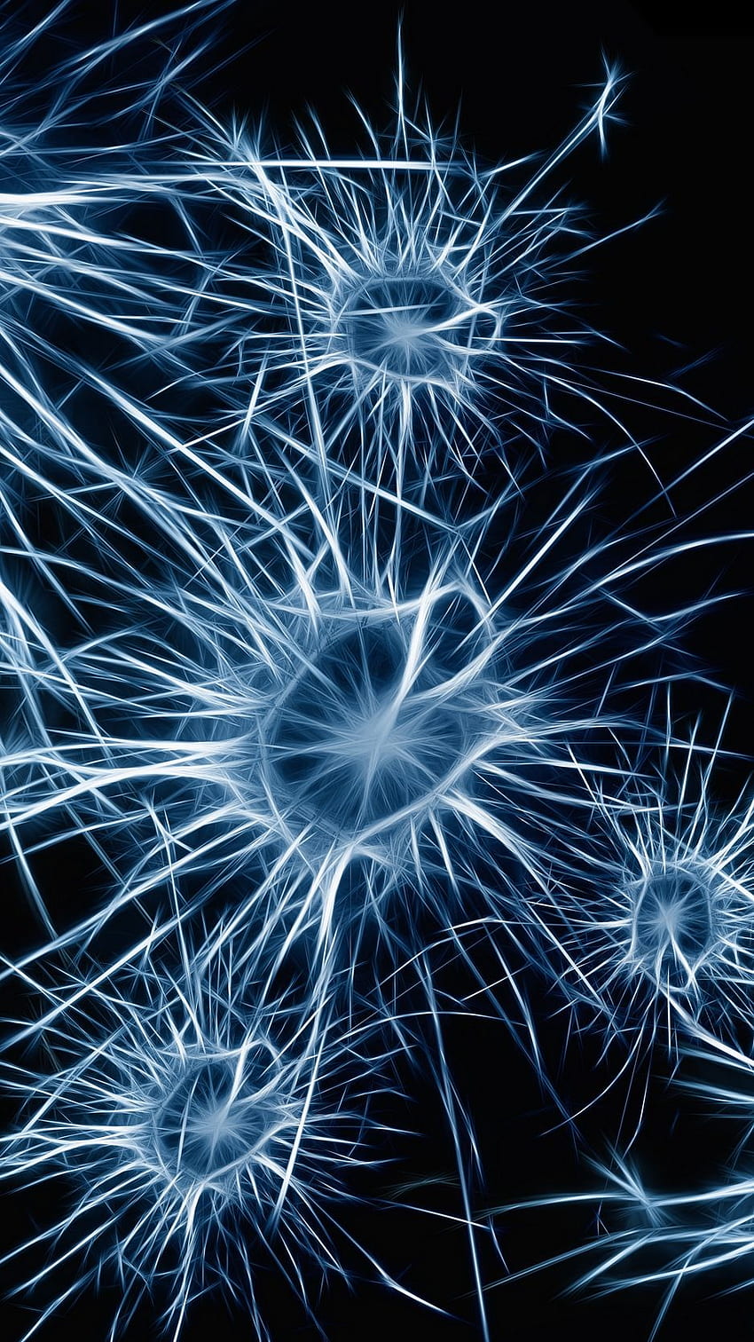 neuron, sel, struktur iphone wallpaper ponsel HD