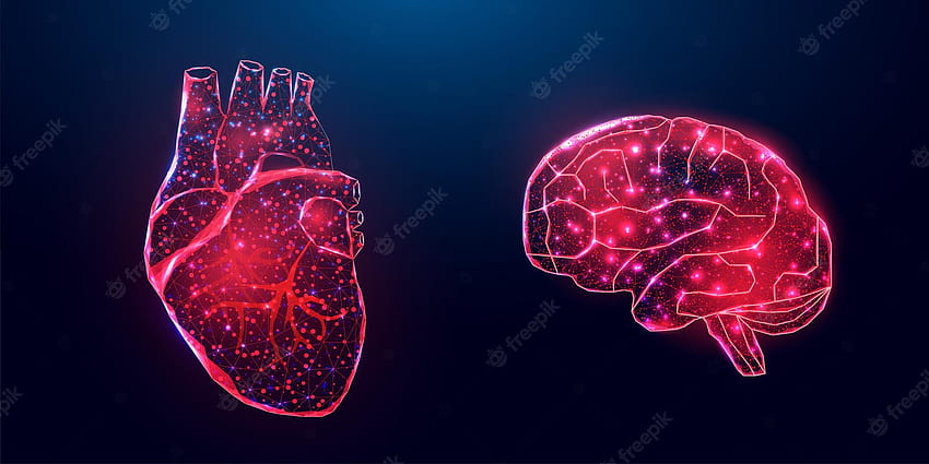Premium Wektor. Ludzkie serce i mózg. model szkieletowy w stylu low poly. abstrakcyjna nowoczesna ilustracja wektorowa 3D na ciemnoniebieskim tle, mózg kontra serce Tapeta HD