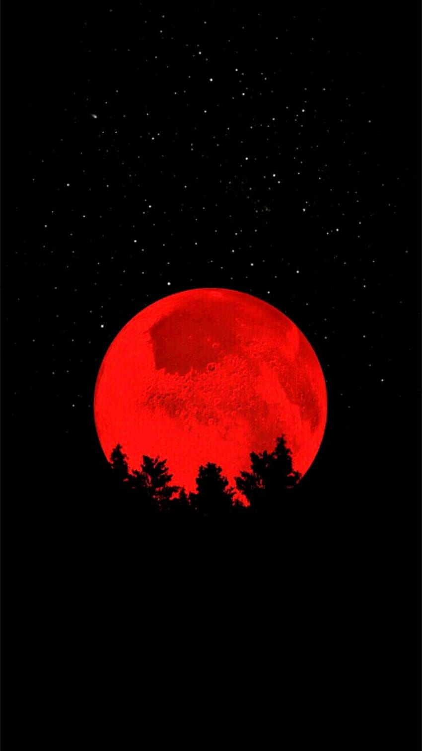 Halloween. Art , Black aesthetic , Crazy, Red Halloween HD phone wallpaper
